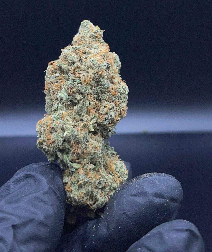US-41 cannabis shop Michigan